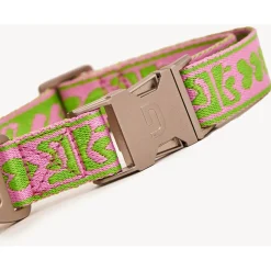 Dogguo Collar Groen&Pink - Hondenhalsband