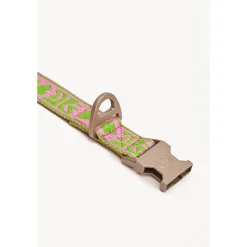 Dogguo Collar Groen&Pink - Hondenhalsband