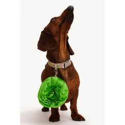 Dogguo Flower Poepzakjes Houder - Hondenriem - Ø10x3 cm Groen Voor Honden