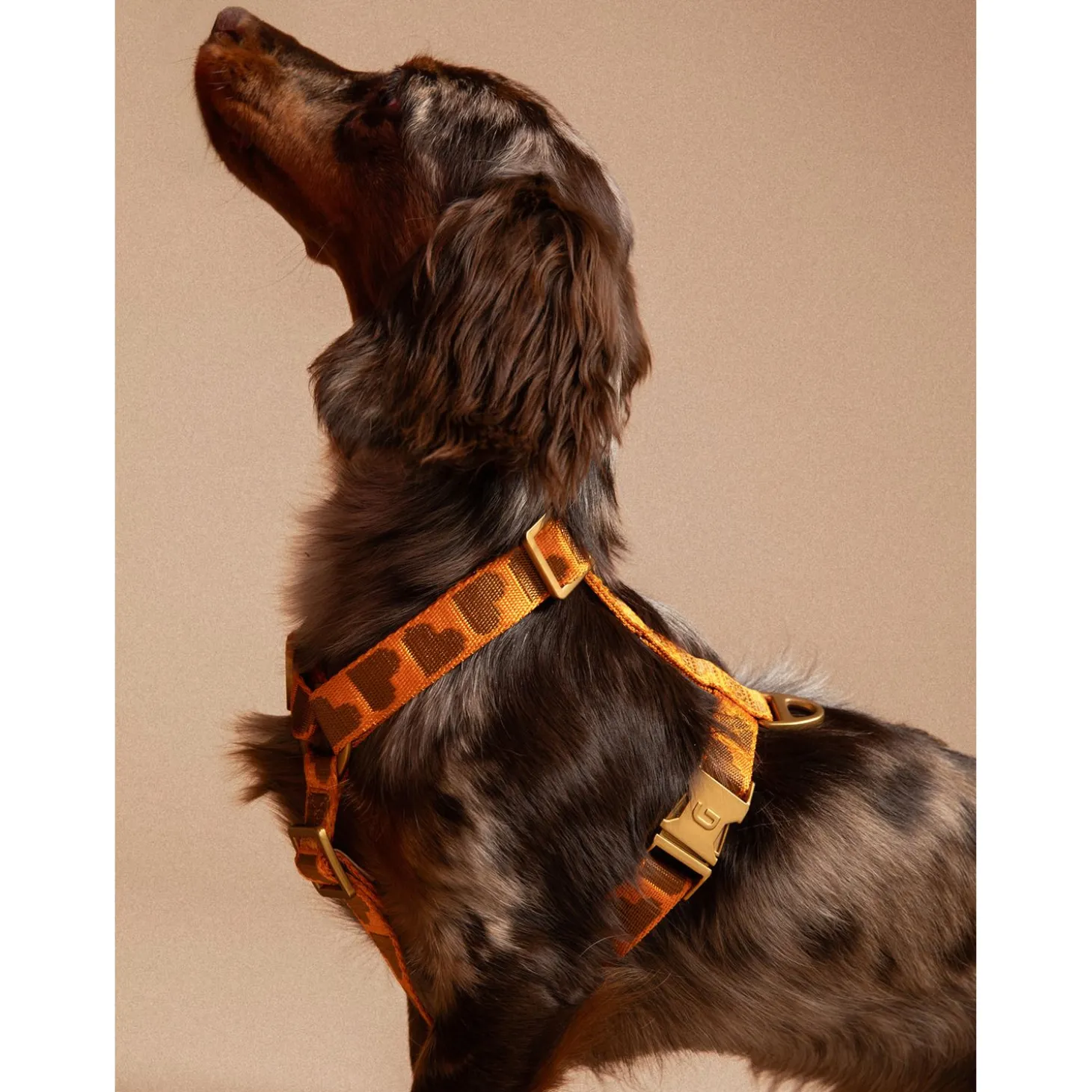 Dogguo Harness - Hondentuig - 40-67 cm Oranje Bruin L