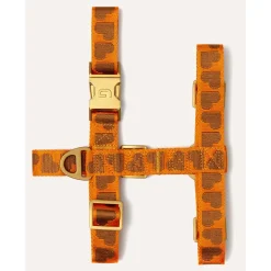 Dogguo Harness - Hondentuig - 20-34 cm Oranje Bruin Xs