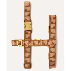 Dogguo Harness - Hondentuig - 24-38 cm Bruin Abrikoos S