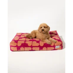 Dogguo Heart Bed - Hondenmatras - 125x75x15 cm Magenta Abrikoos Xl