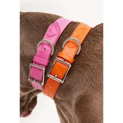 Dogguo Heart Collar - Hondenhalsband - Oranje