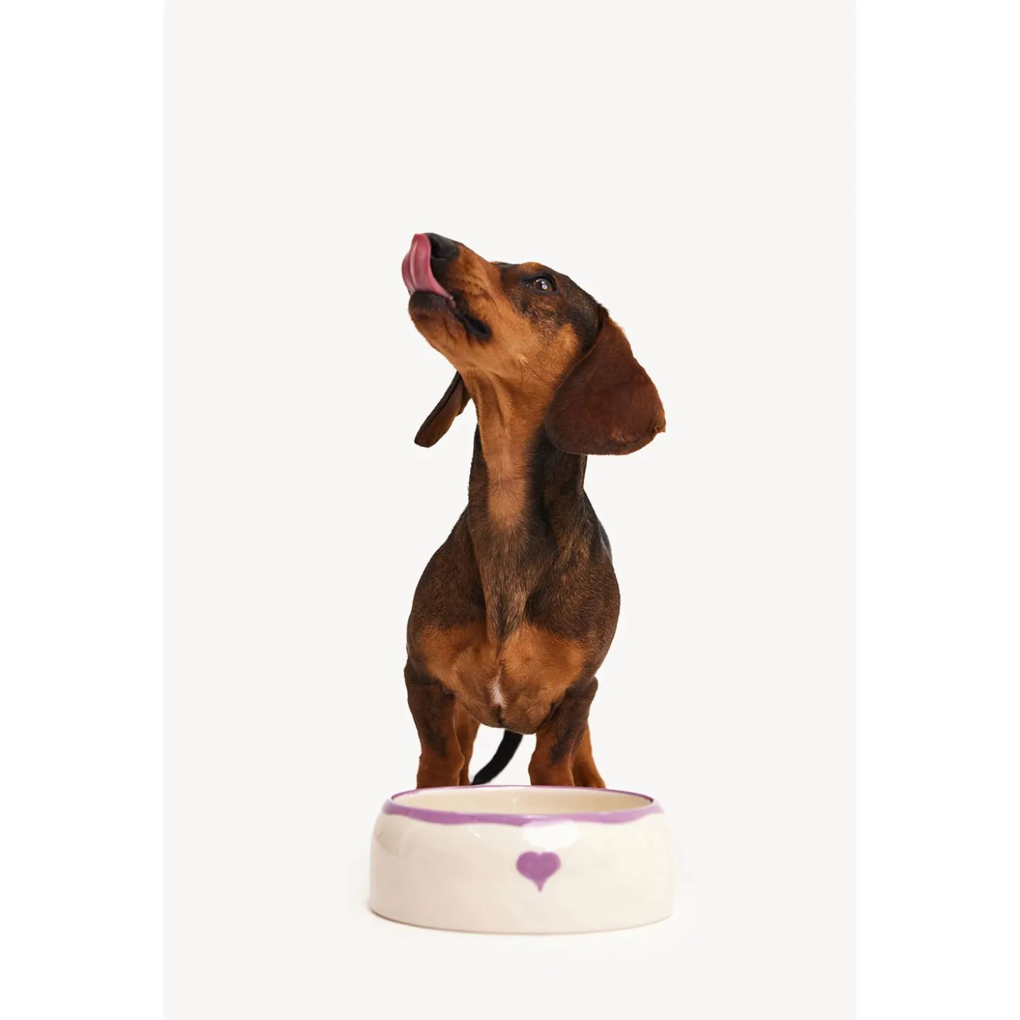 Dogguo Heart Dogbowl Paars&Beige - Hondenvoerbak