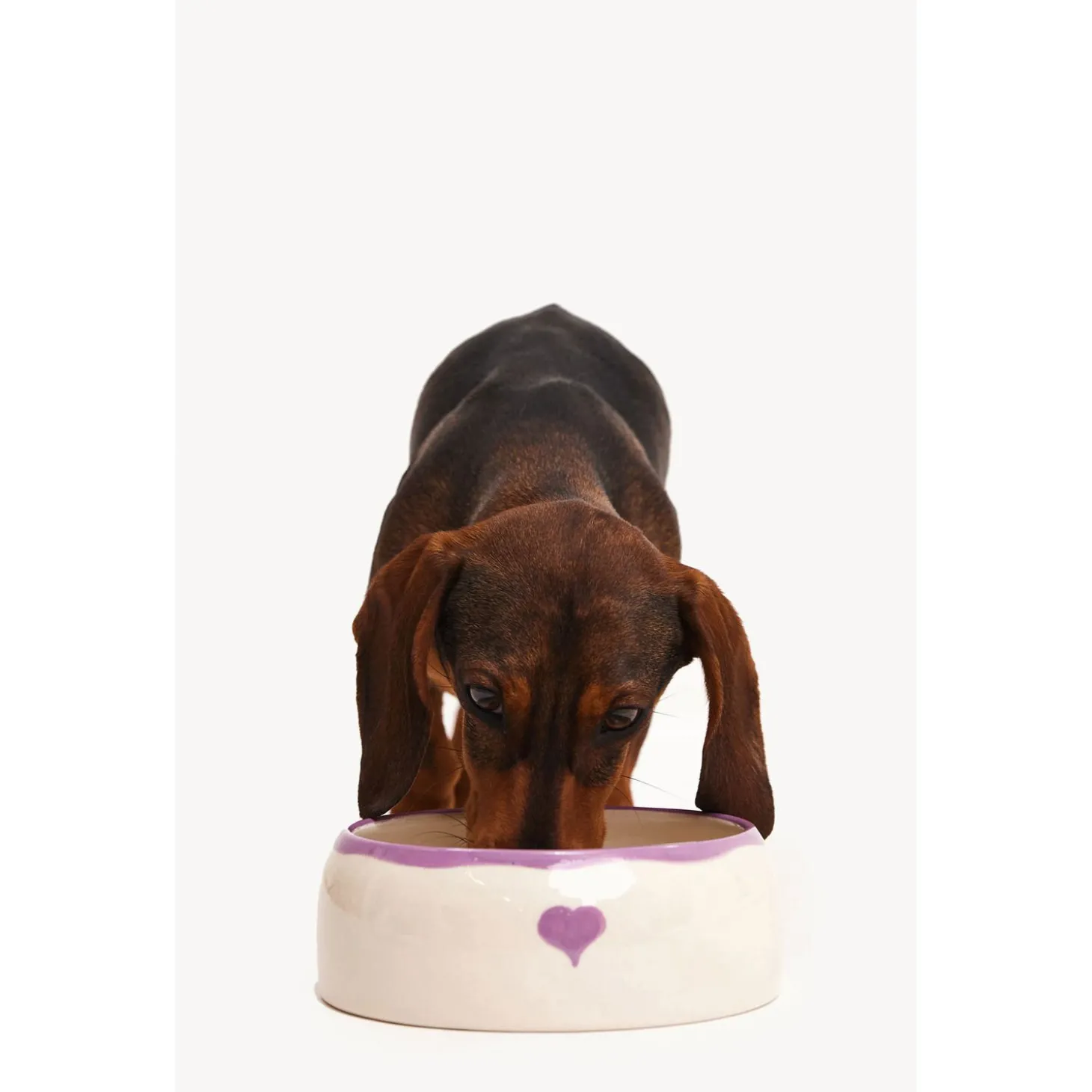 Dogguo Heart Dogbowl Paars&Beige - Hondenvoerbak