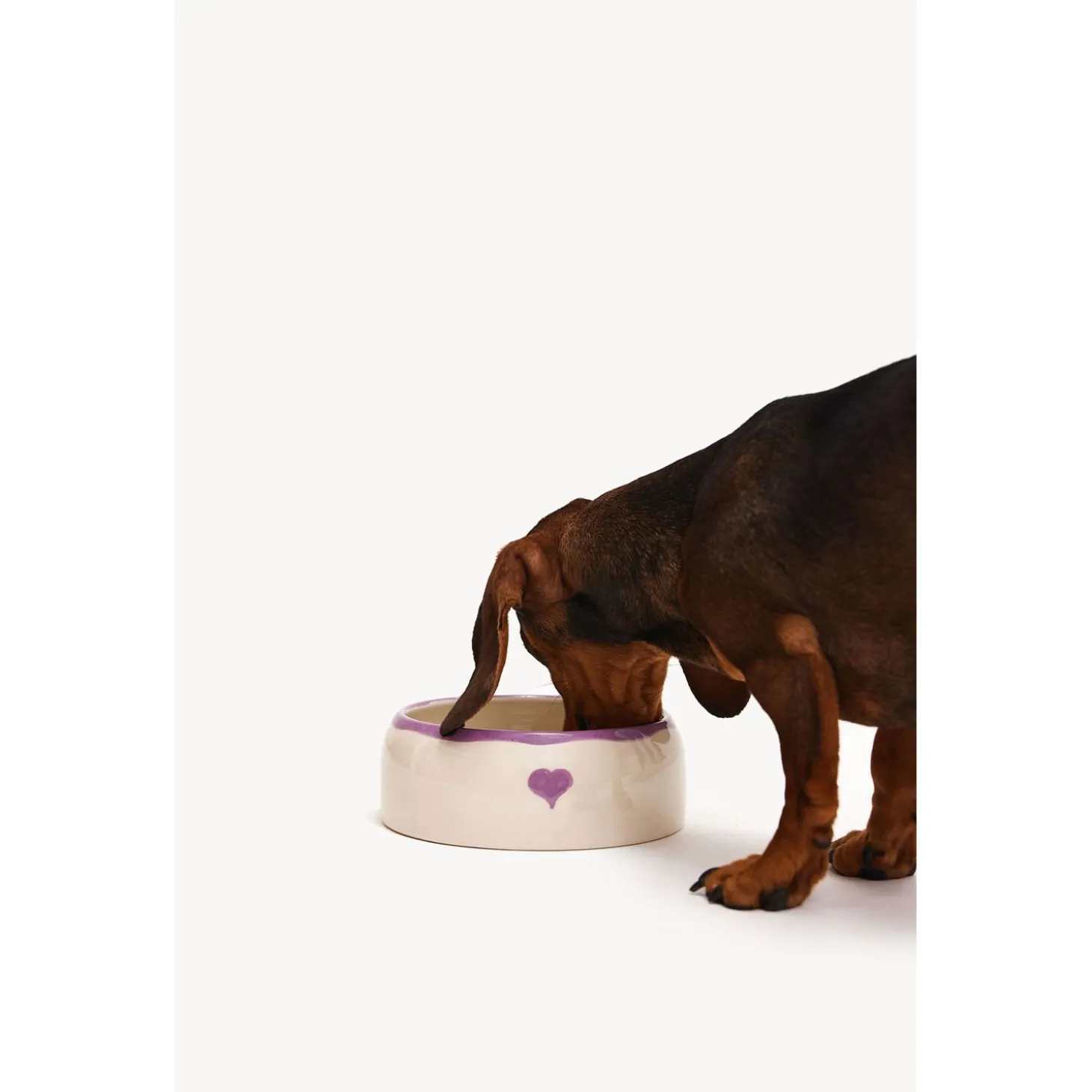 Dogguo Heart Dogbowl Paars&Beige - Hondenvoerbak