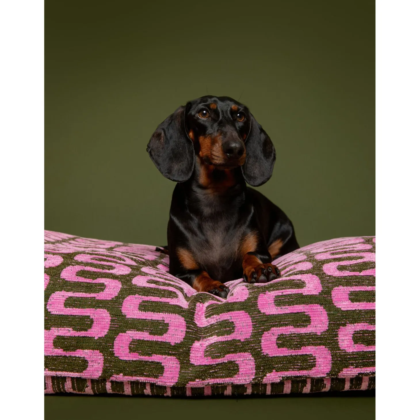 Dogguo Retro Wave Bed - Hondenmatras - 85x55x15 cm Groen Pink M
