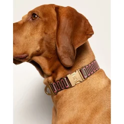 Dogguo Retro Wave Collar - Hondenhalsband - Ø26 cm Groen Pink M