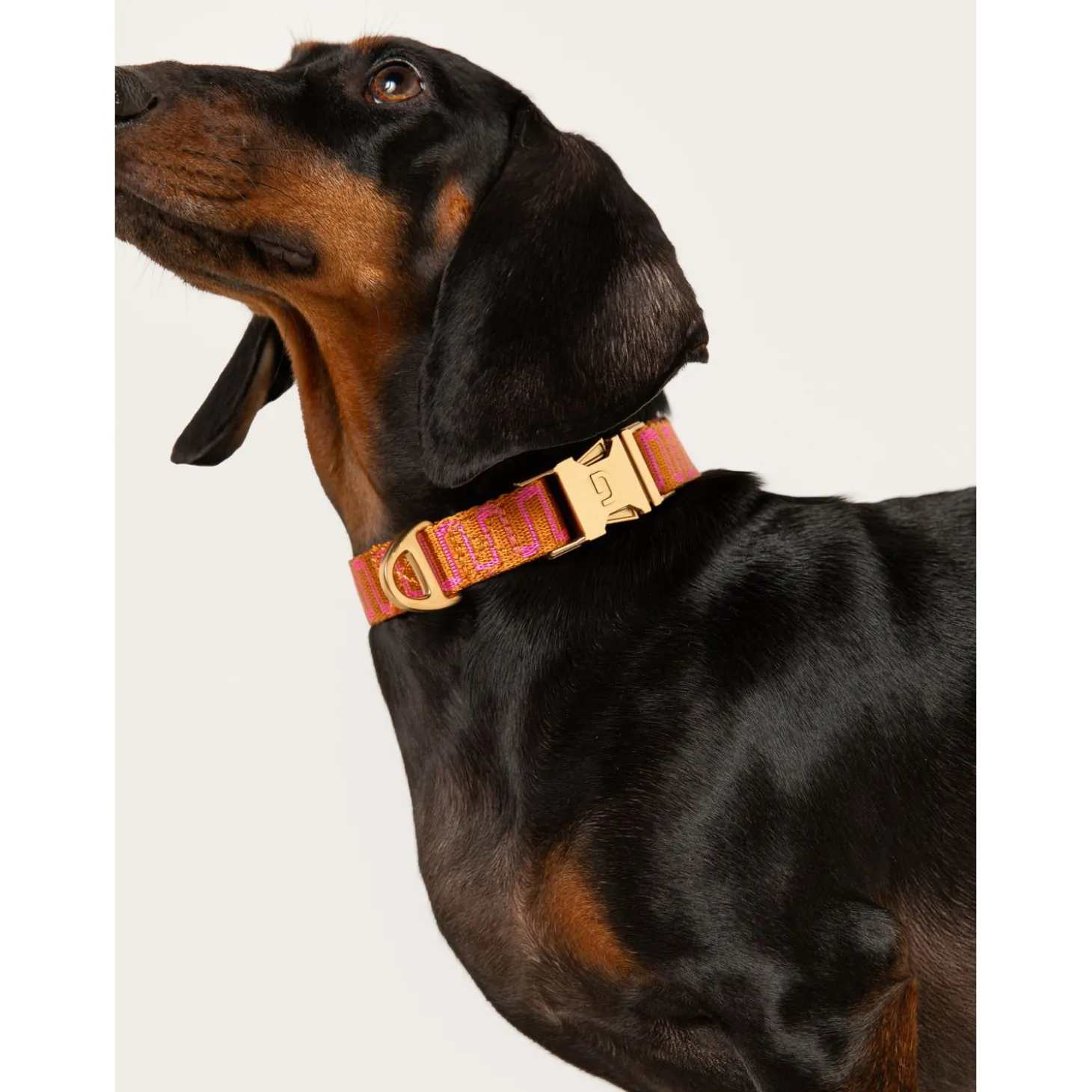 Dogguo Retro Wave Collar - Hondenhalsband - Ø15 cm Roest Pink Xs
