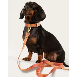 Dogguo Retro Wave Collar - Hondenhalsband - Ø15 cm Roest Pink Xs
