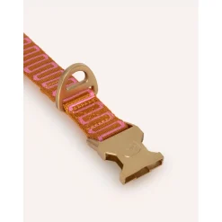 Dogguo Retro Wave Collar - Hondenhalsband - Ø26 cm Roest Pink L