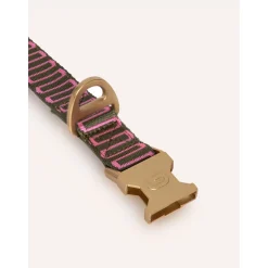 Dogguo Retro Wave Collar - Hondenhalsband - Ø23 cm Groen Pink S