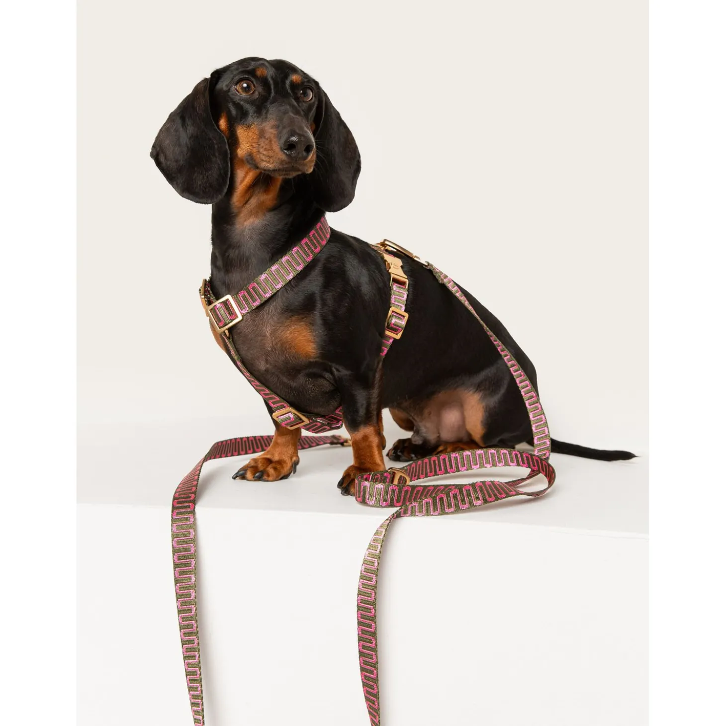 Dogguo Retro Wave Harness - Hondentuig - Groen Pink M