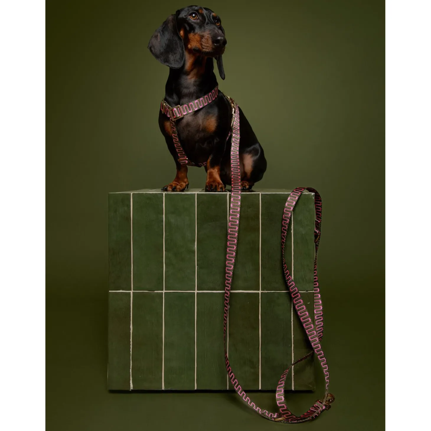 Dogguo Retro Wave Harness - Hondentuig - Groen Pink M