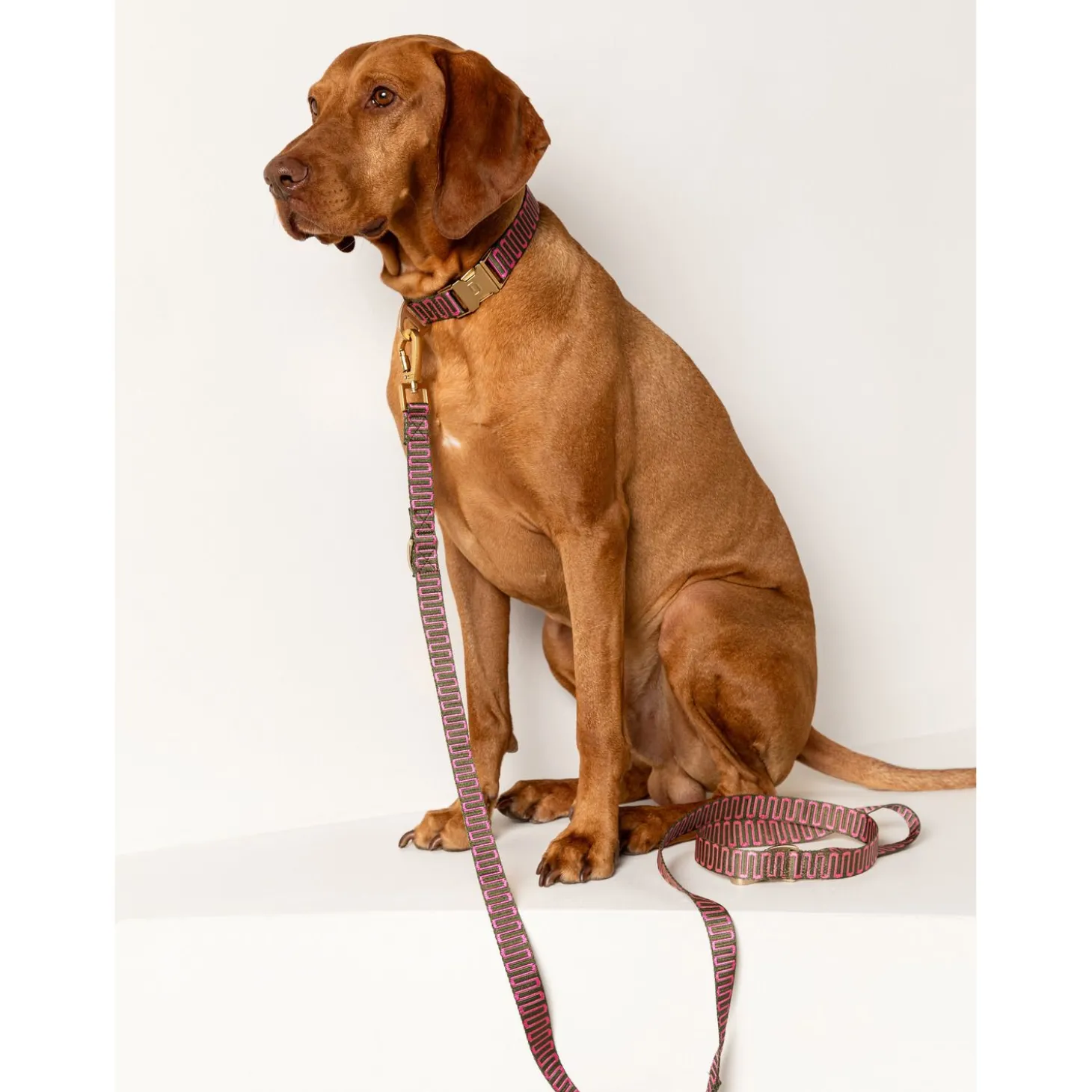 Dogguo Retro Wave Leash - Hondenriem - 200x2 cm Groen Pink S