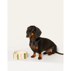 Dogguo Stripe Dogbowl - Hondenvoerbak - Ø20x9 cm Groen Pink M