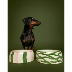 Dogguo Stripe Dogbowl - Hondenvoerbak - Ø20x9 cm Groen Pink M