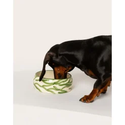 Dogguo Zebra Dogbowl - Hondenvoerbak - Ø20x9 cm Beige Groen M