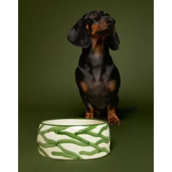 Dogguo Zebra Dogbowl - Hondenvoerbak - Ø17x7 cm Beige Groen S