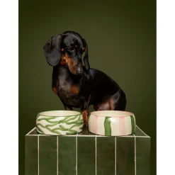 Dogguo Zebra Dogbowl - Hondenvoerbak - Ø17x7 cm Beige Groen S