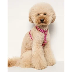 Dogguo Zebra Harness - Hondentuig - Bordeaux Pink L