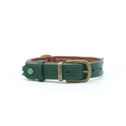Dwam Halsband Ivy - Hondenhalsband