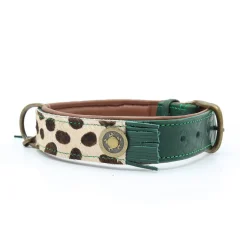 Dwam Halsband Ivy - Hondenhalsband