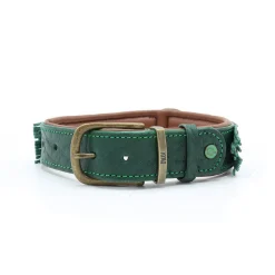 Dwam Halsband Ivy - Hondenhalsband