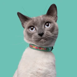 Dwam Kitty Kattenhalsband - Kattenhalsband - Multi-Color 22-27x1 Cm