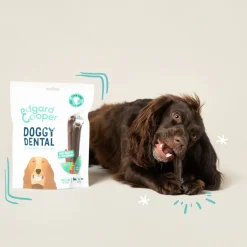 Edgard&Cooper Doggy Dental Aardbei&Mint - Hondensnacks