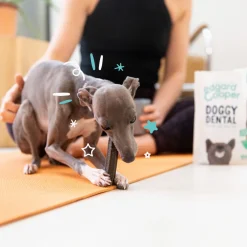 Edgard&Cooper Doggy Dental Aardbei&Mint - Hondensnacks