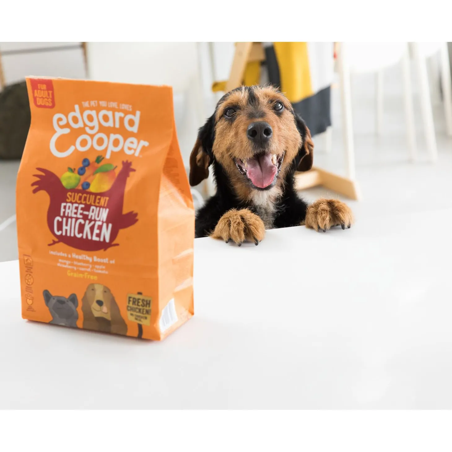 Edgard&Cooper Free-Run Chicken Adult Kip&Mango&Bessen - Hondenvoer