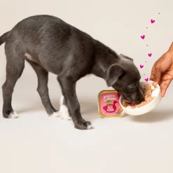 Edgard&Cooper Kuipje Duck Chicken Puppy - Hondenvoer - Eend Kip Broccoli 300 g Graanvrij