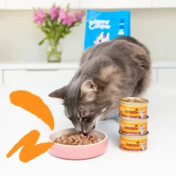Edgard&Cooper Multipack Chunks - Kattenvoer - Kip Zalm Lam 8x85 g