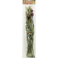Esve Pet Bouquet Weidegewas - Knaagdiersnack - 100 g