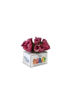 Europet Bernina Decor Koraal M - Aquarium - Ornament - 9.5x8x7 cm Bordeaux