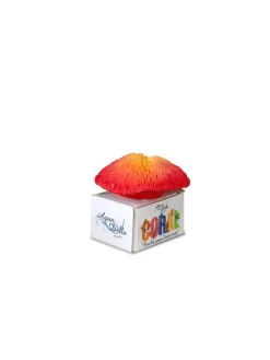 Europet Bernina Decor Koraal S - Aquarium - Ornament - 8.5x8x6 cm Rood Geel