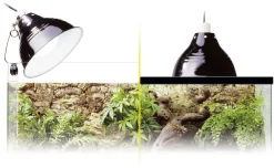Exo Terra Glow Light Porselein S - Verlichting