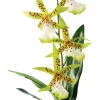 Exo Terra Rainforest Plant Spider Orchid - Kunstplanten - per stuk