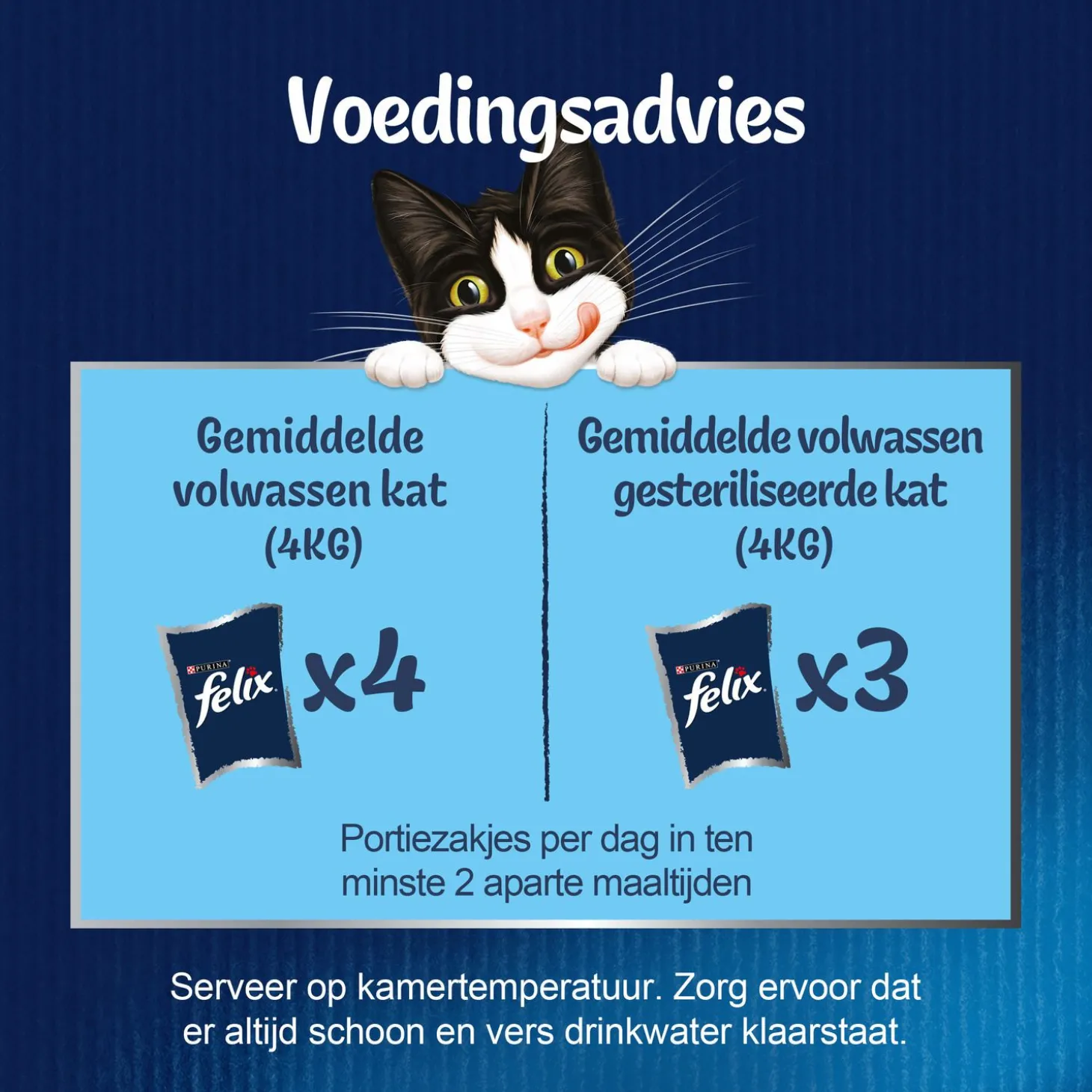Felix Multipack Elke Dag Feest Vis In Gelei - Kattenvoer - Tonijn Zalm Schol 12x85 g