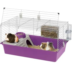 Ferplast Caviakooi Cavie 80 - Dierenverblijf - 79x49x38.5 cm Grijs
