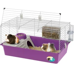 Ferplast Caviakooi Cavie 80 - Dierenverblijf - 79x49x38.5 cm Grijs