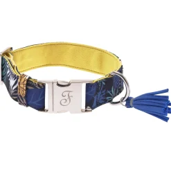 Ferribiella Kami Collar S - Hondenhalsband - Geel 22-35x2.5 Cm