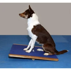 Fitpaws Giant Rocker Board - Hondenspeelgoed - 75 x 75 cm