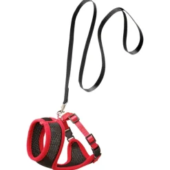 Flamingo Harms Kittentuig + Lijn - Kattenharnas - Zwart Rood 110cm 10mm