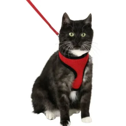 Flamingo Harms Kittentuig + Lijn - Kattenharnas - Rood Zwart 110cm 10mm