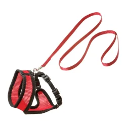 Flamingo Harnas Met Looplijn Harms - Kattentuigje - Rood Zwart 110cm 10mm