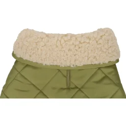 Flamingo Hondenjas Bonnie - Hondenkleding - 50 cm Groen