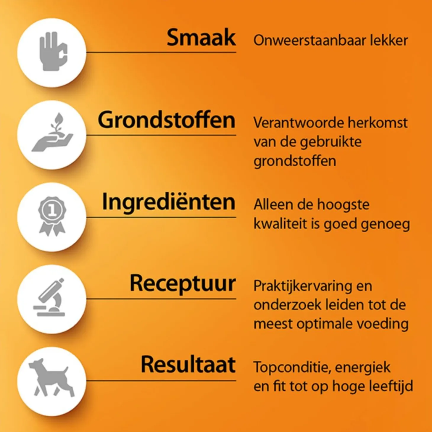 Fokker Steri-Fit Skin & Coat - Kattenvoer